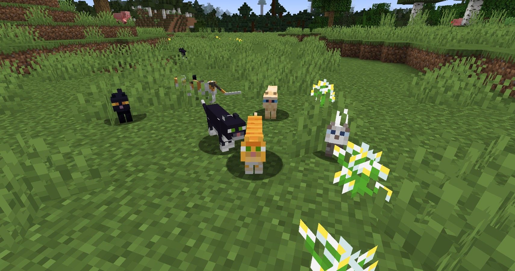 group of cats in minecraft