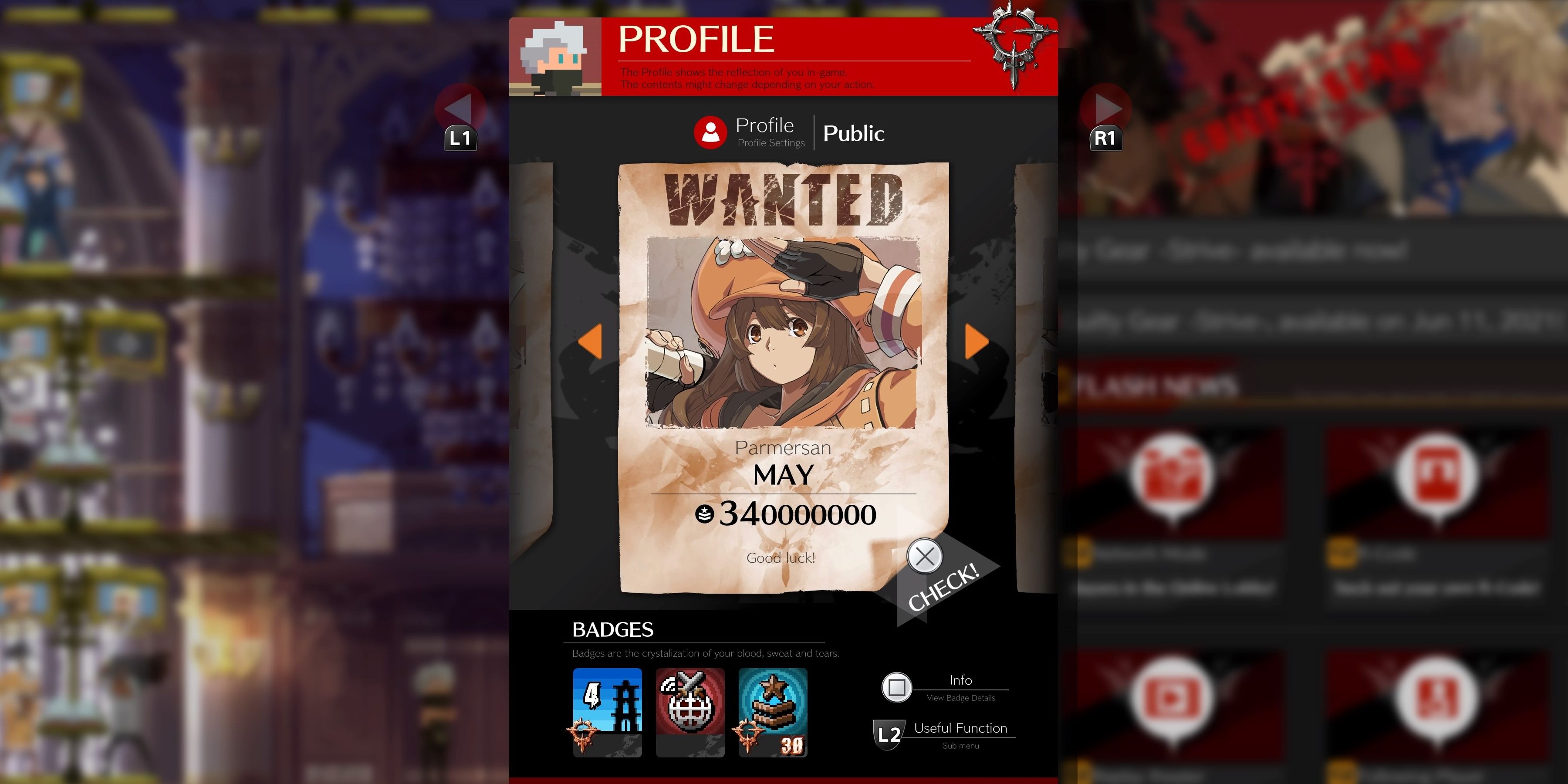 R-Code displayed in Guilty Gear -Rise- Shows player rank, character picture, and more.