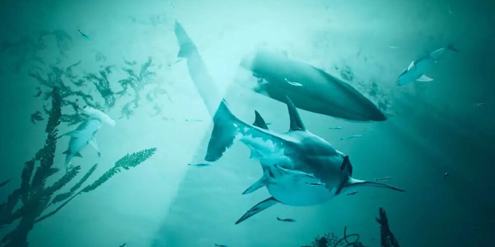 Maneater Shark Swims Up To Boat