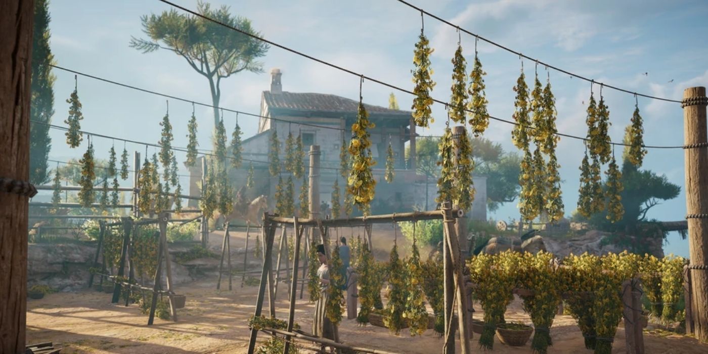 Siphilium Farm Assassin's Creed Origins