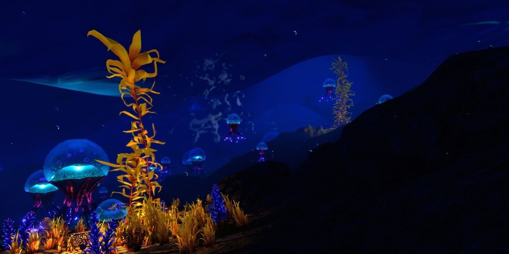 Eye Jellies and a Creepvine in the Glacial Connection