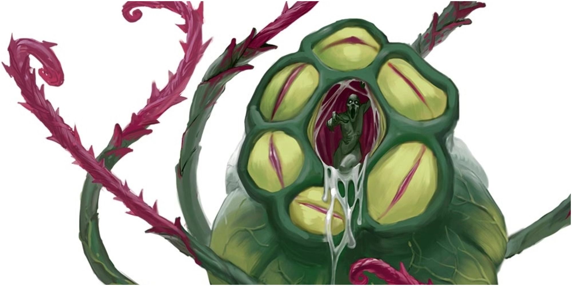 bodytaker plant