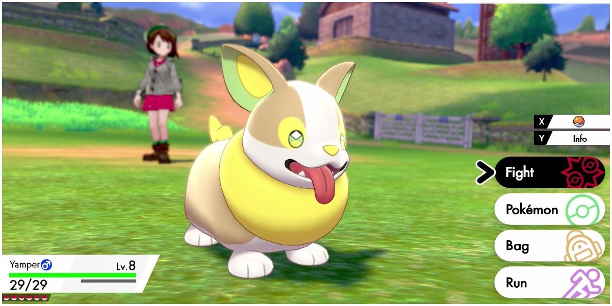 Yamper in battle.