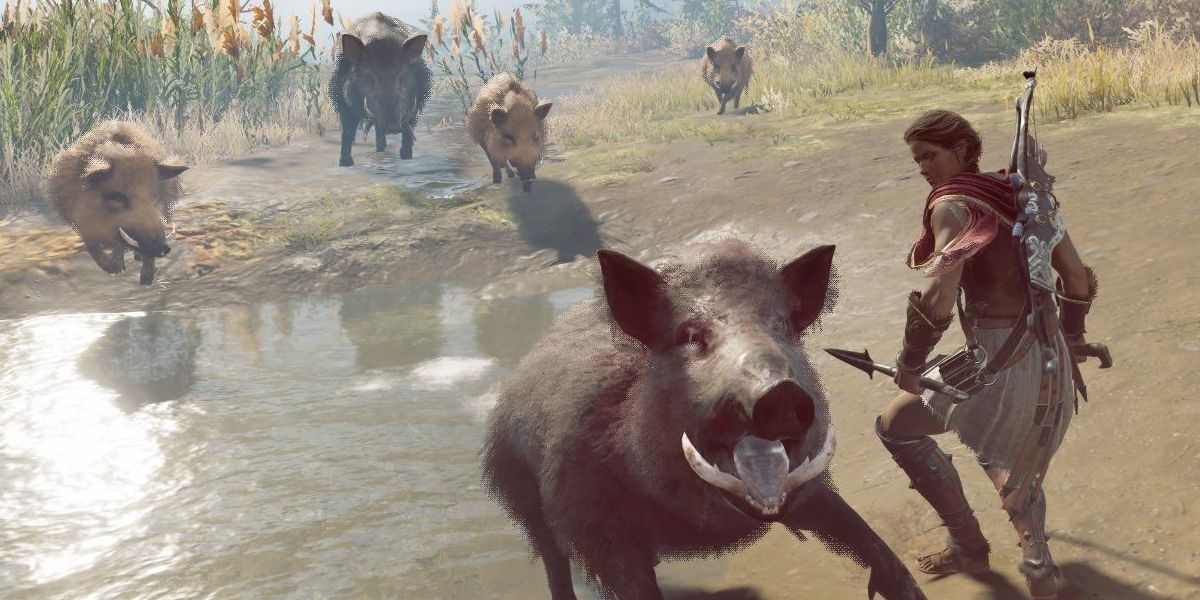 AC Odyssey The Goddesses Hunt the player hunting a boar