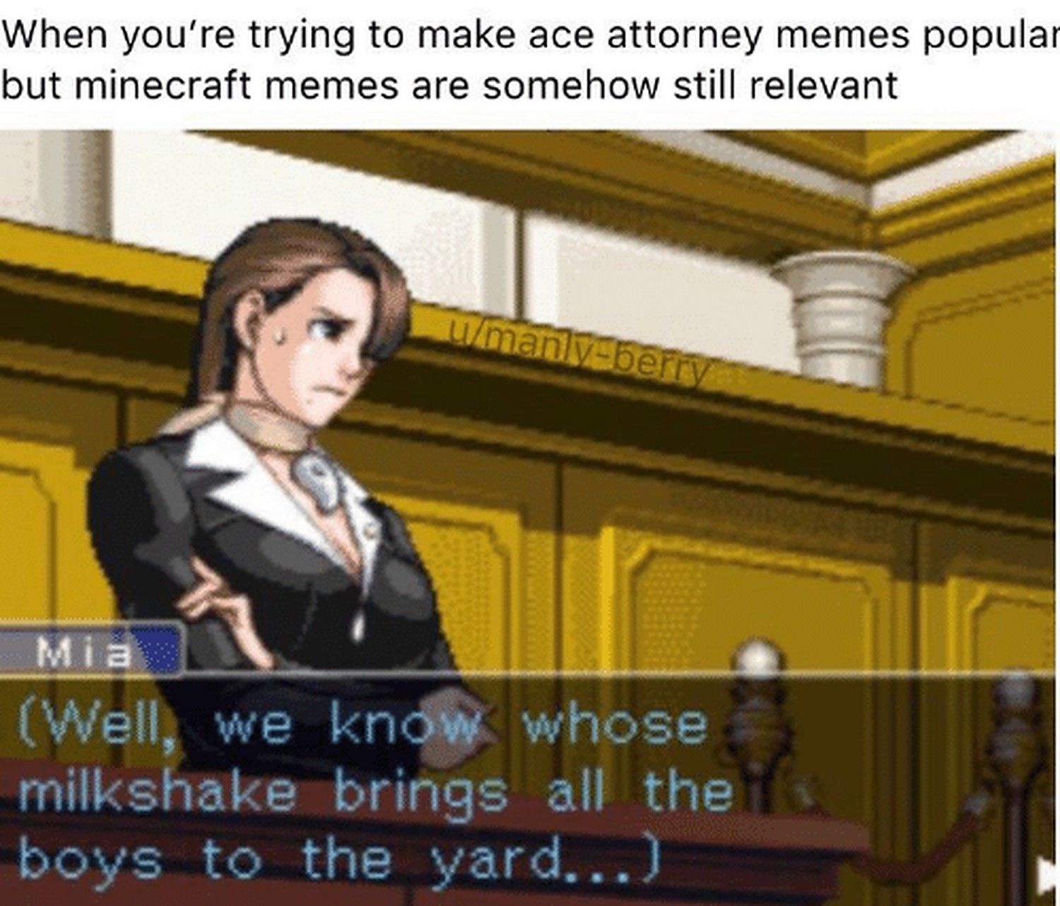 Ace Attorney Meme