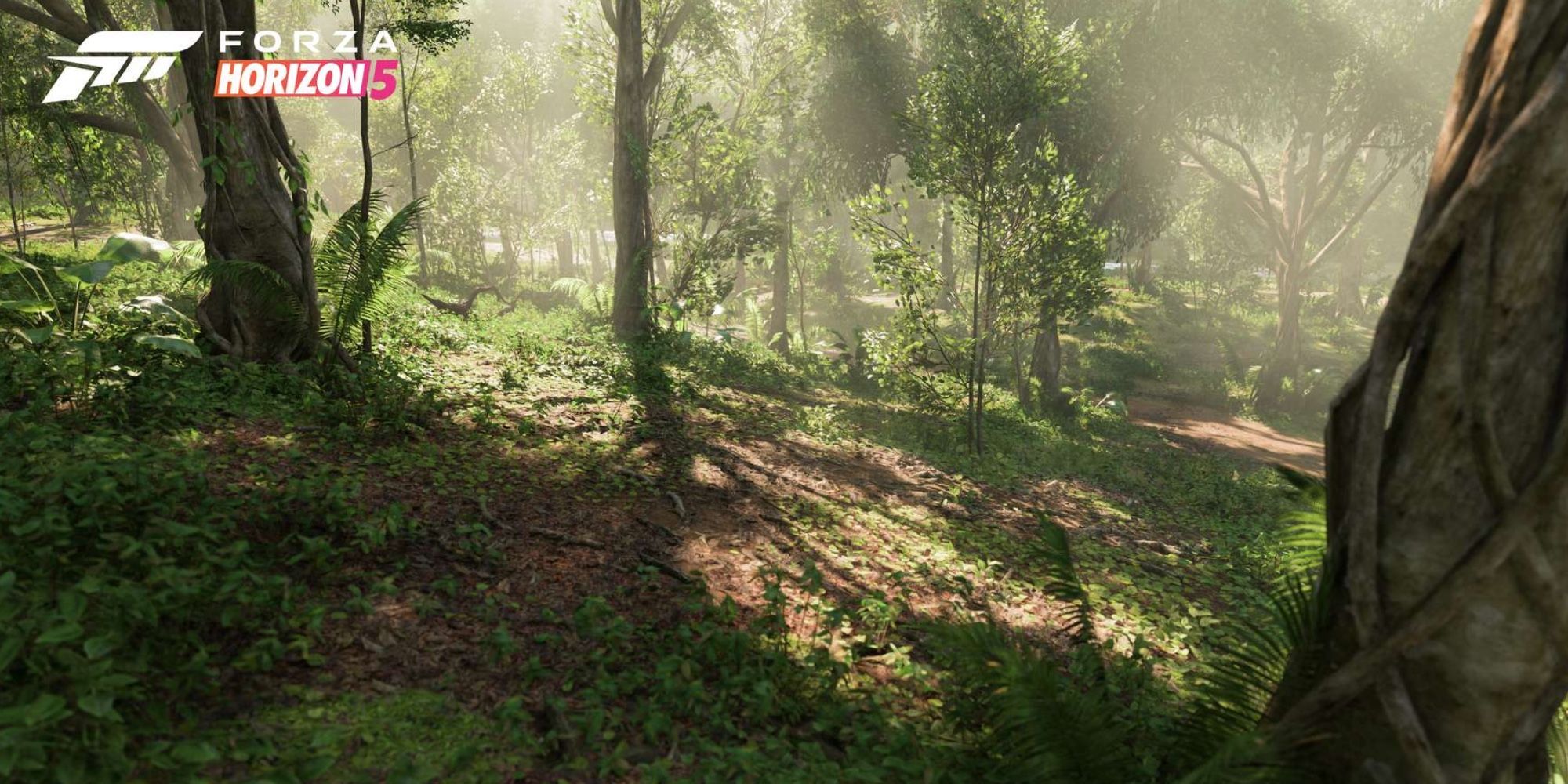 Jungle