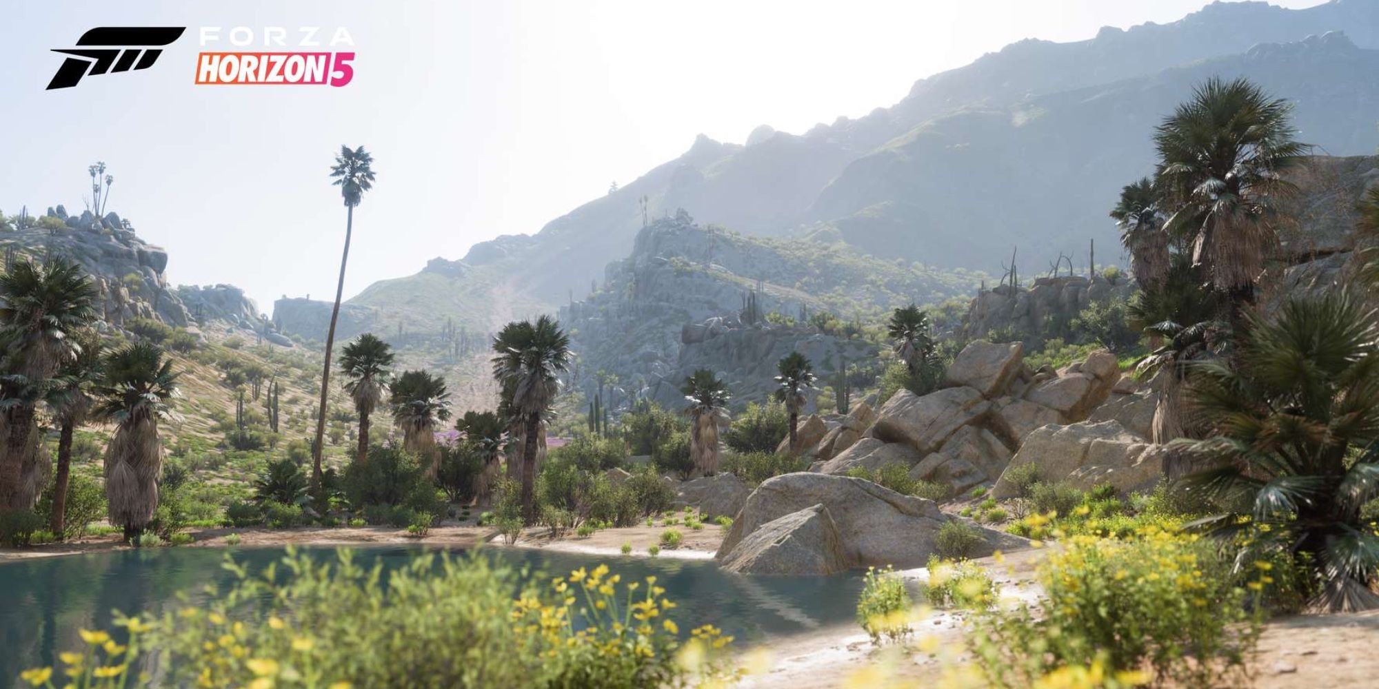 Living Desert