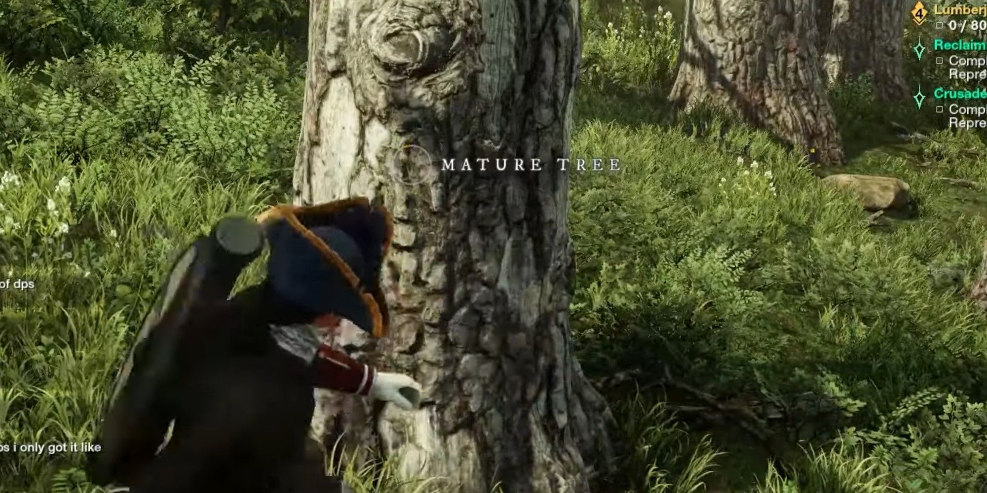 New World Mature Tree