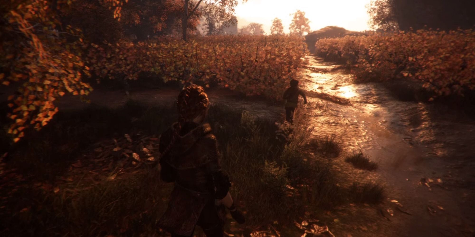 Plague tale running to the bushes hugo