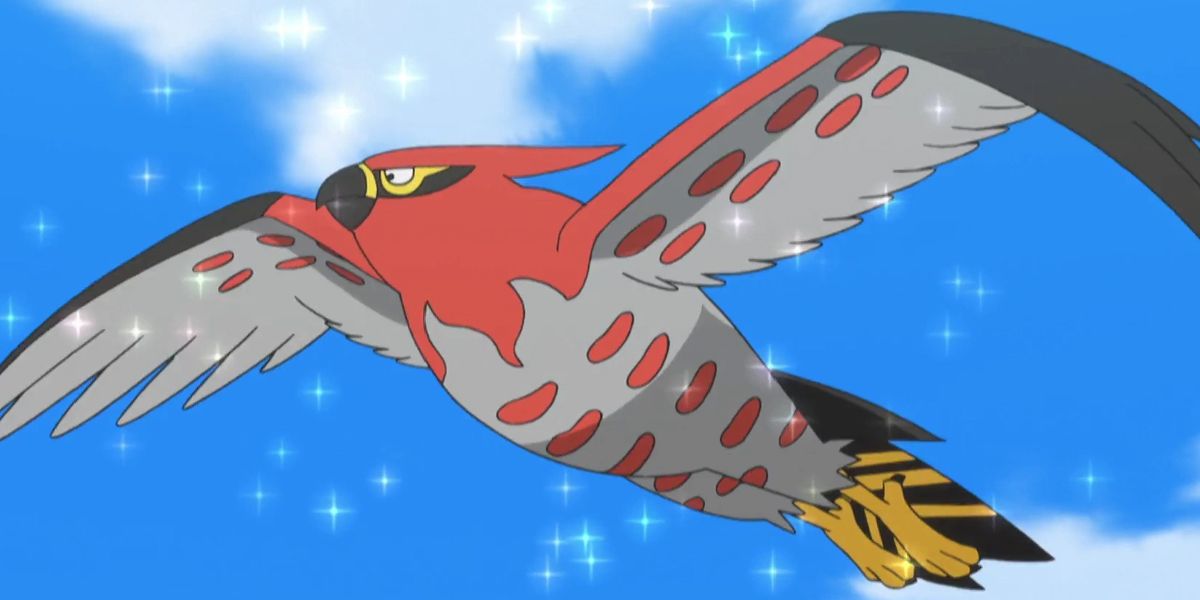 Pokemon ashs Talonflame from the anime