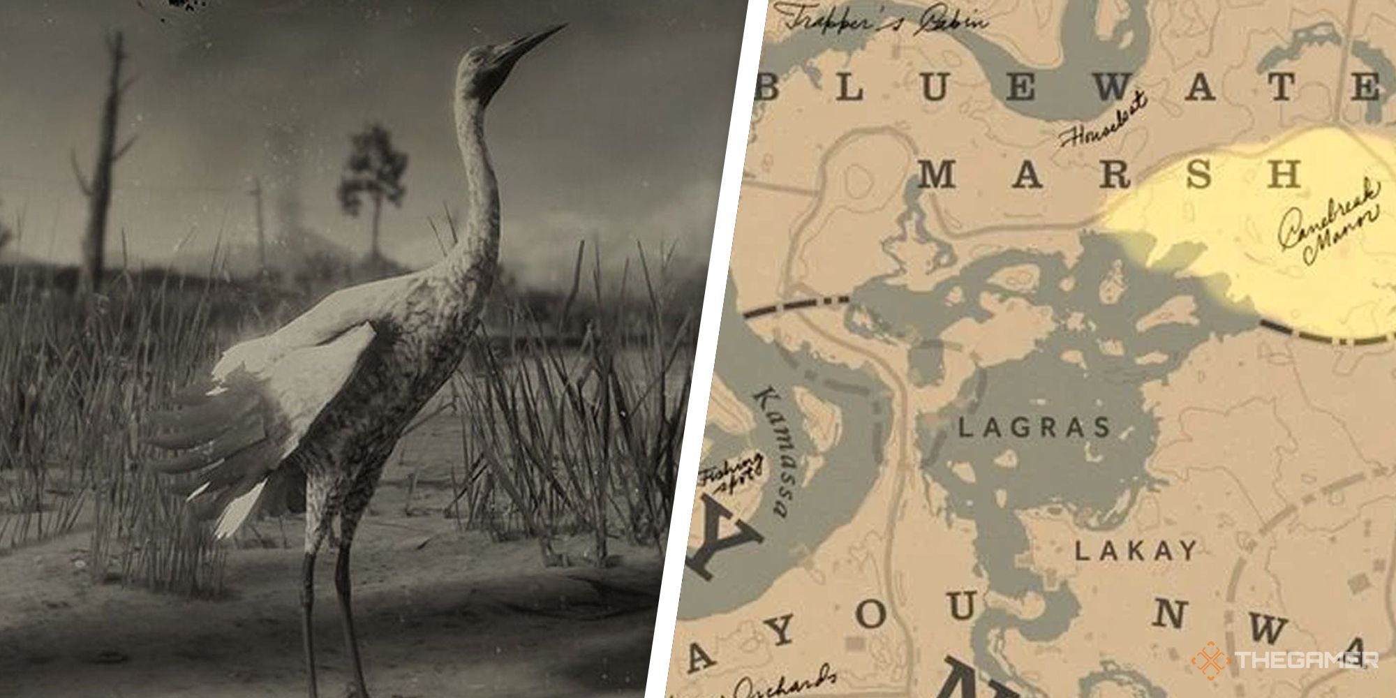 Red Dead Online Whooping Cranes
