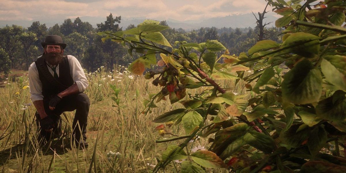 Red Dead Redemption 2 Arthur crouched near flowers plant fruit