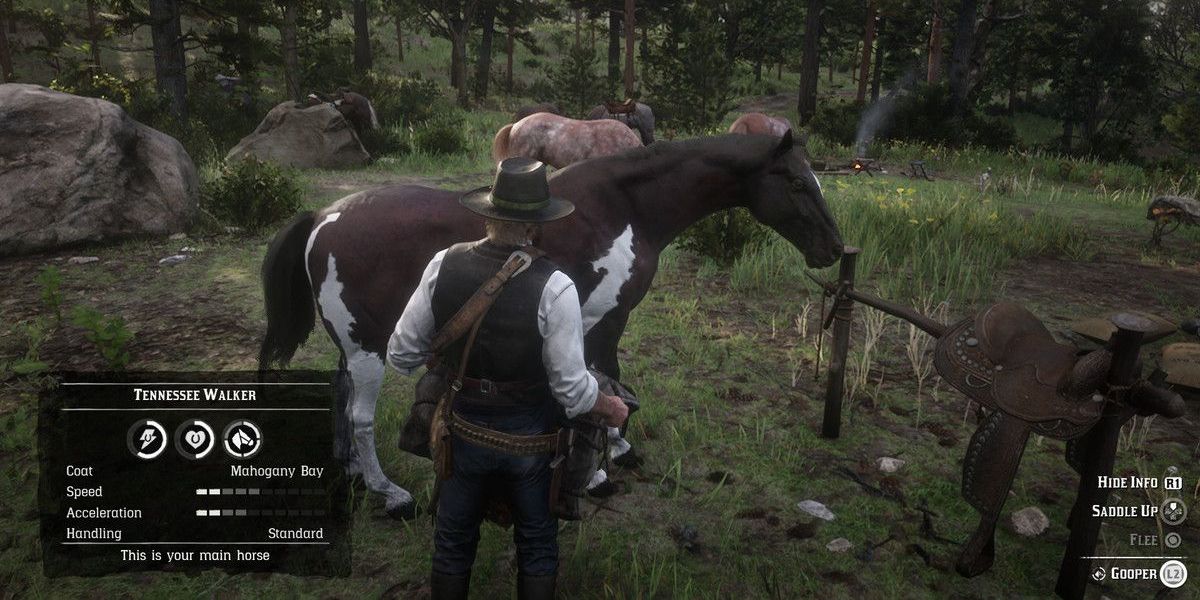 Red Dead Redemption 2 arthur looking at horse