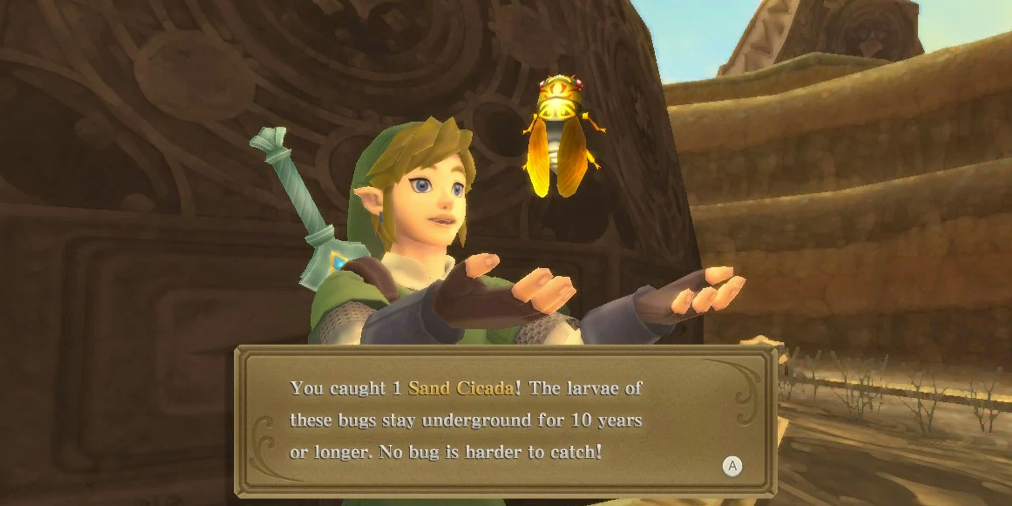 Sand Cicada