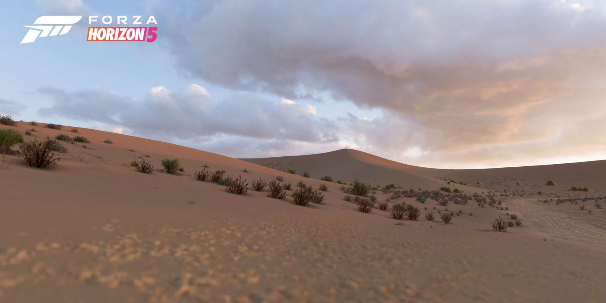 Sandy Desert