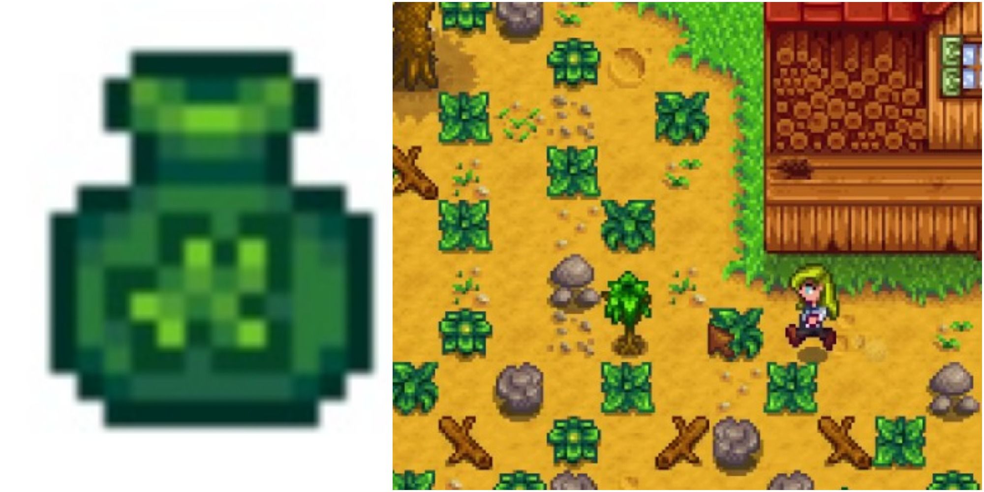 fiber stardew valley