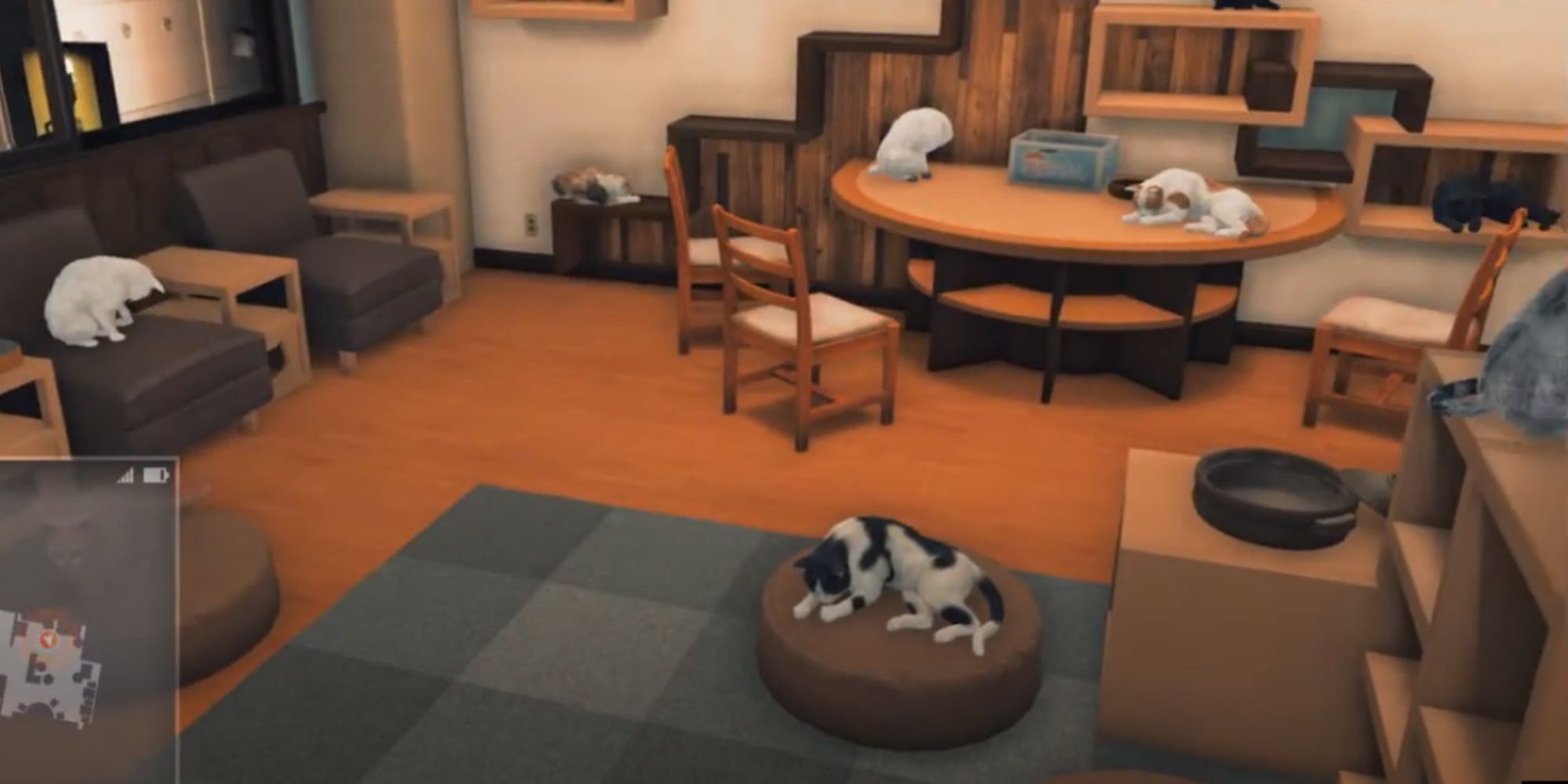 judgment cat cafe with cats hanging around