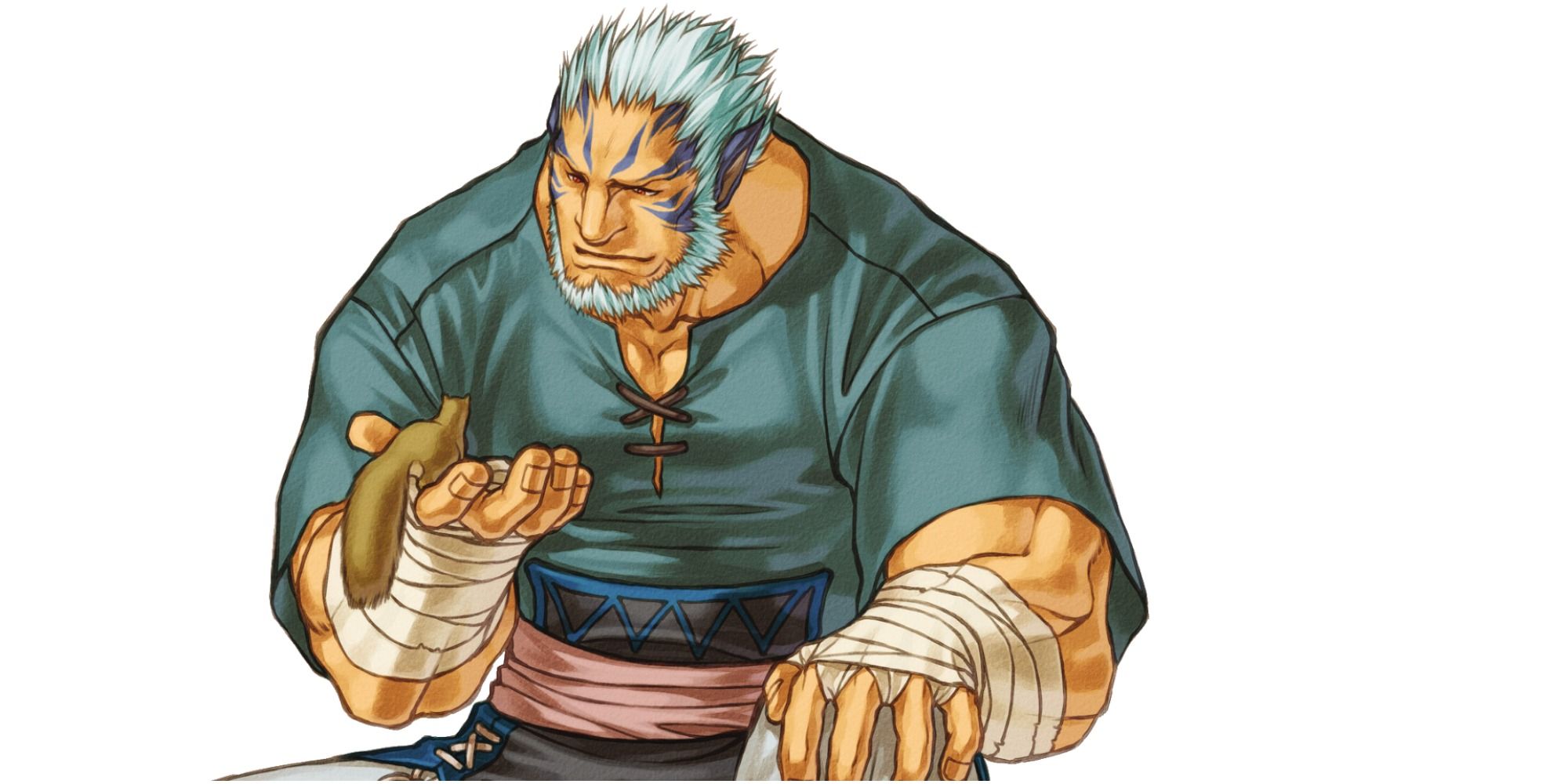 mordecai fire emblem path of radiance portrait