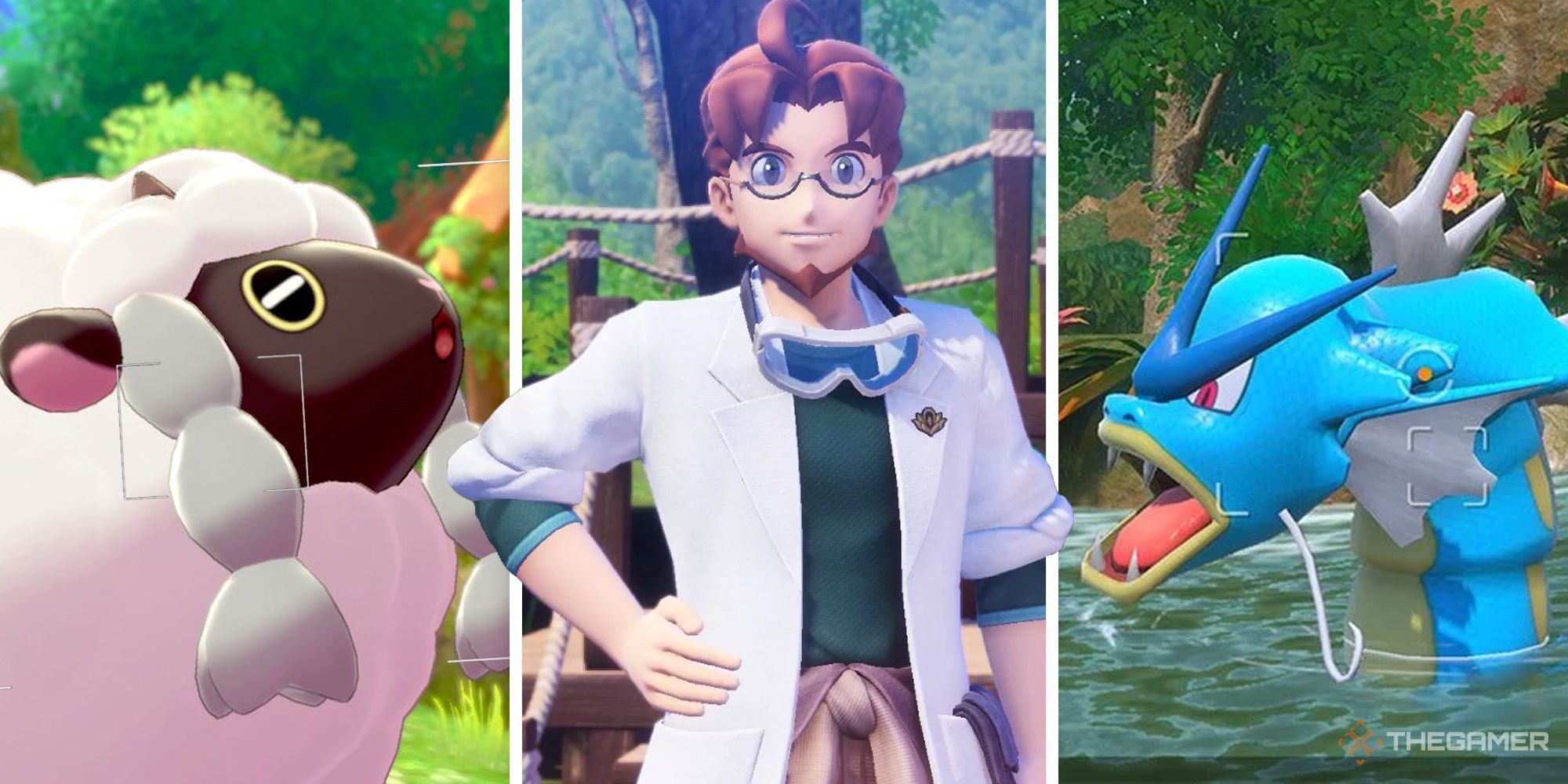 pokemon snap live service