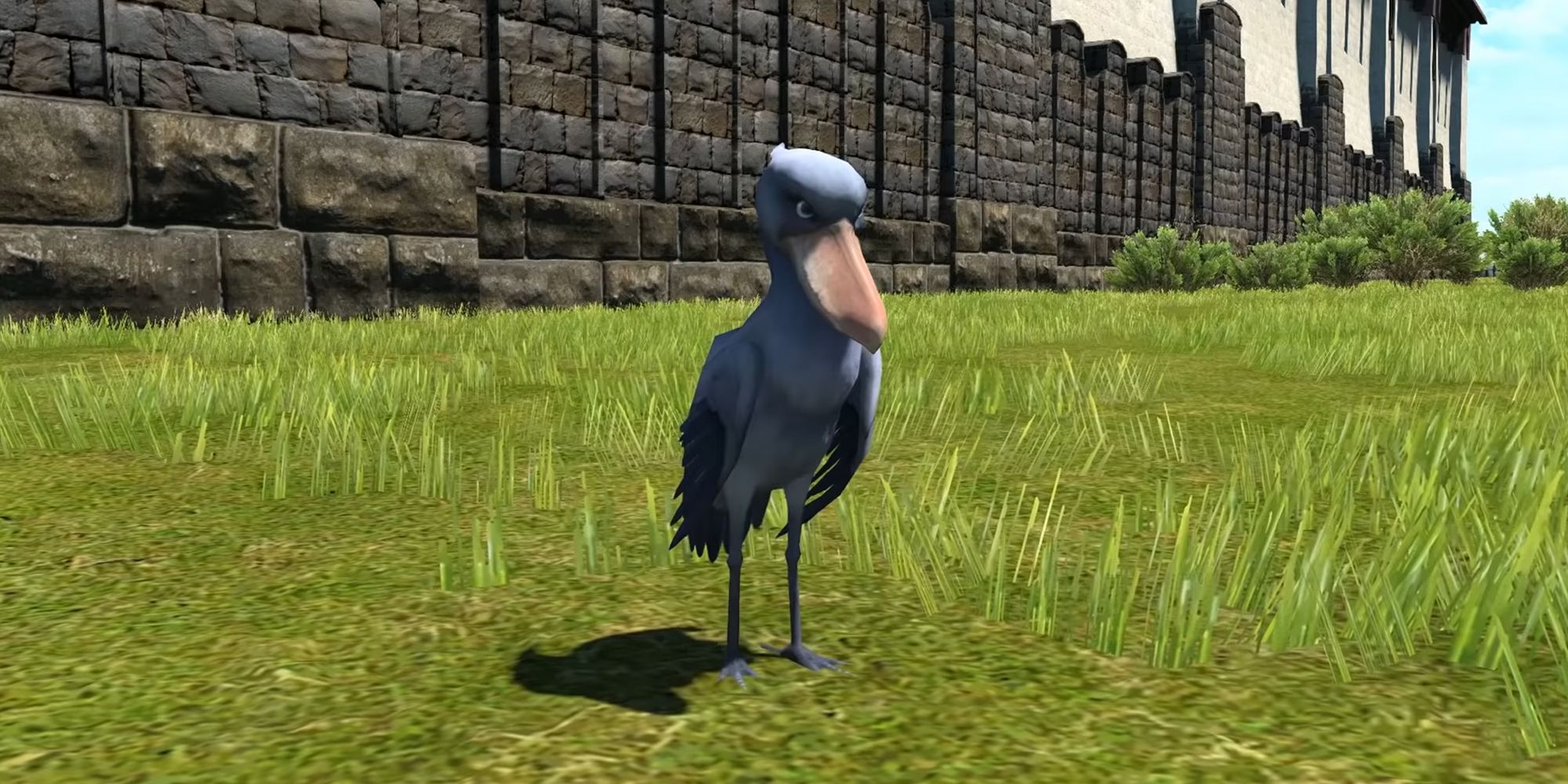 shoebill minion