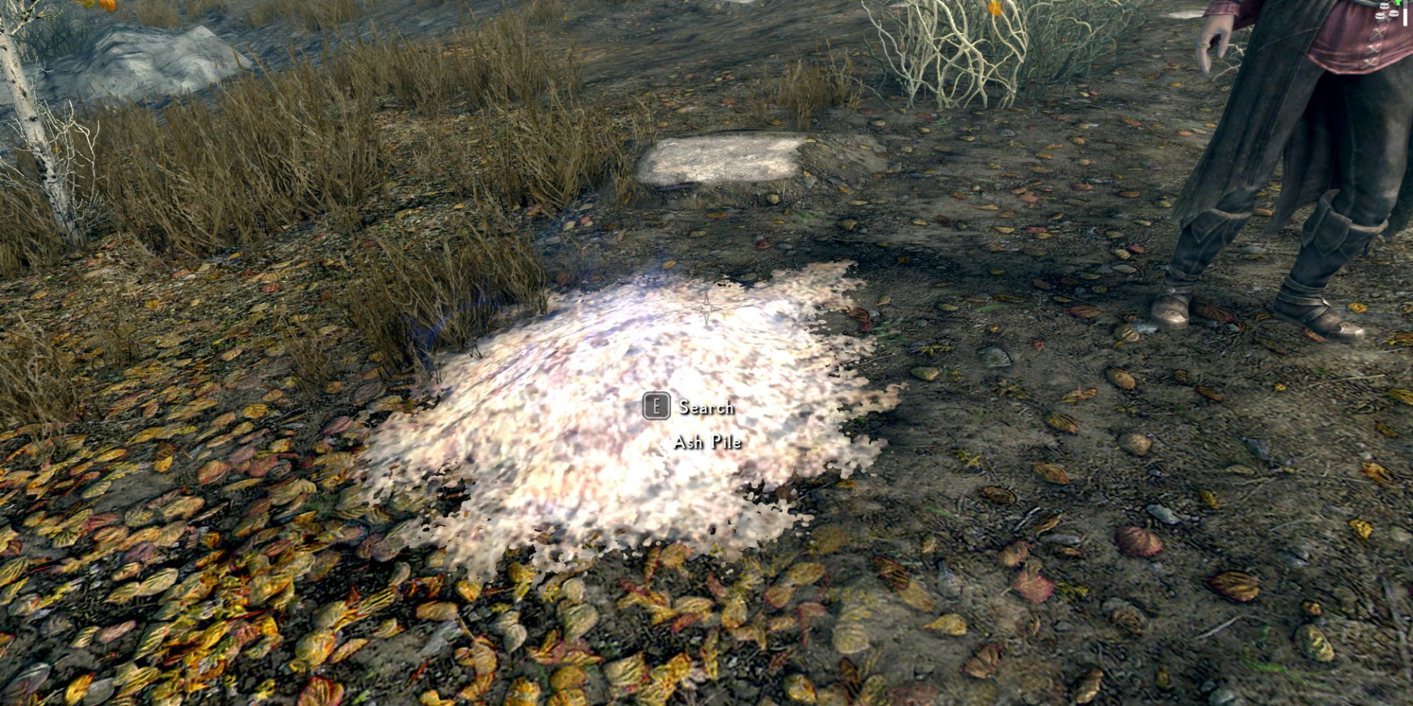 skyrim_ash pile in forest