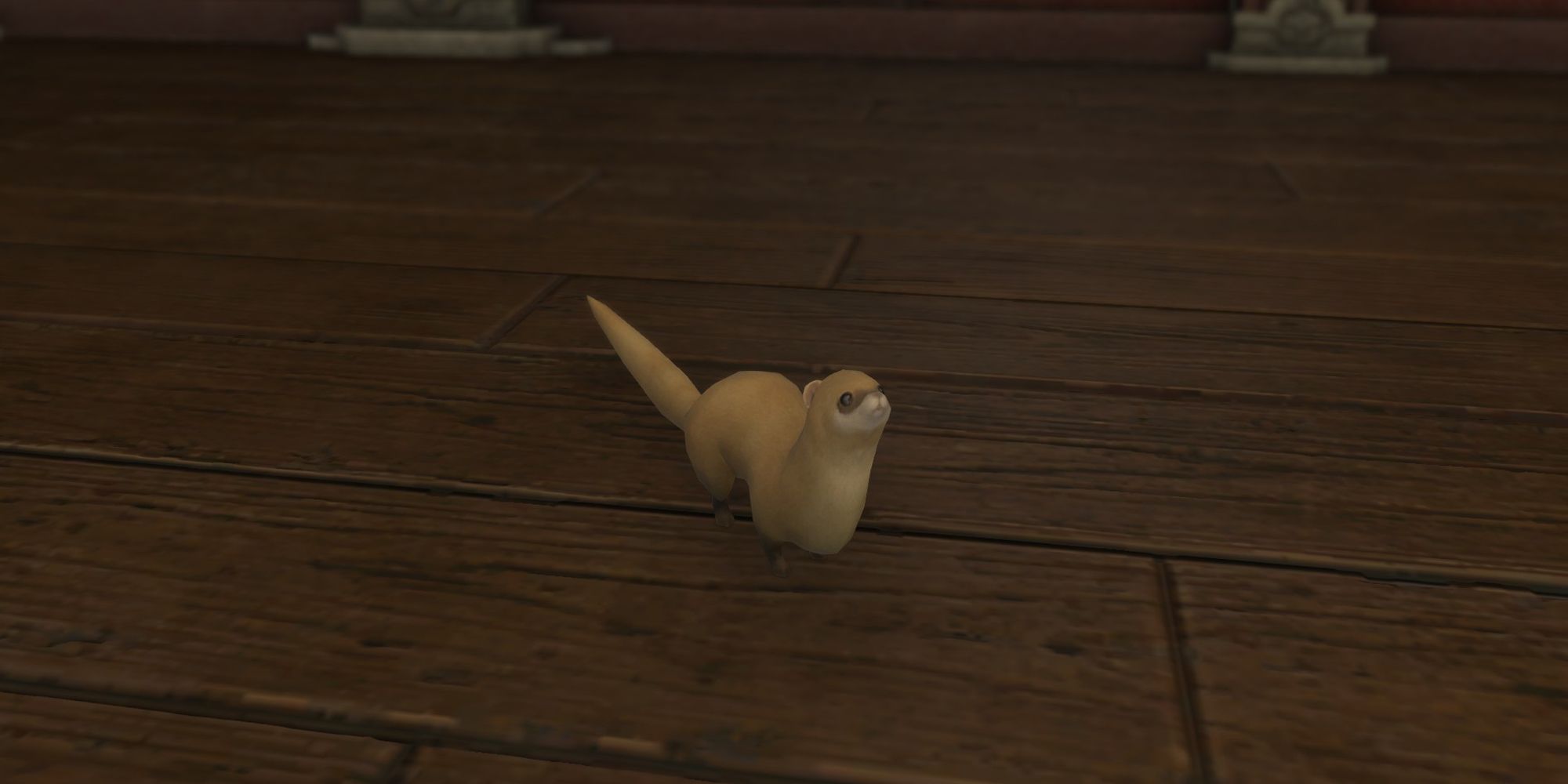 white whittret minion