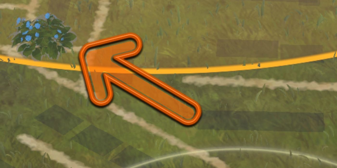 witcher monster slayer sword bush