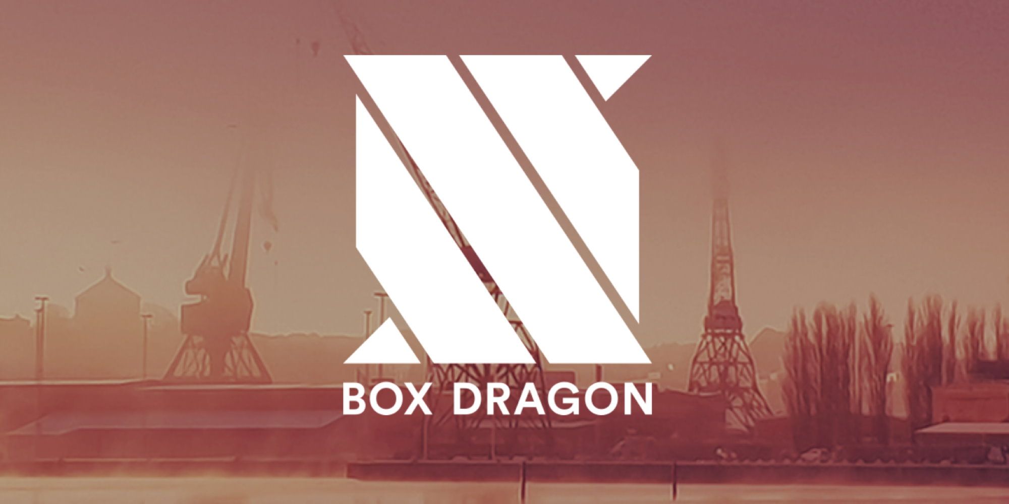 Box Dragon