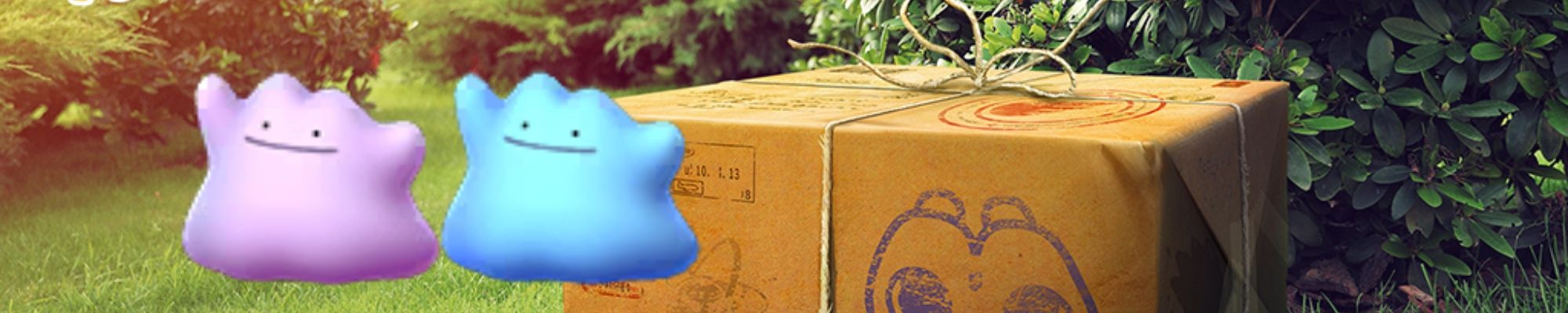 Ditto Research Breakthrough