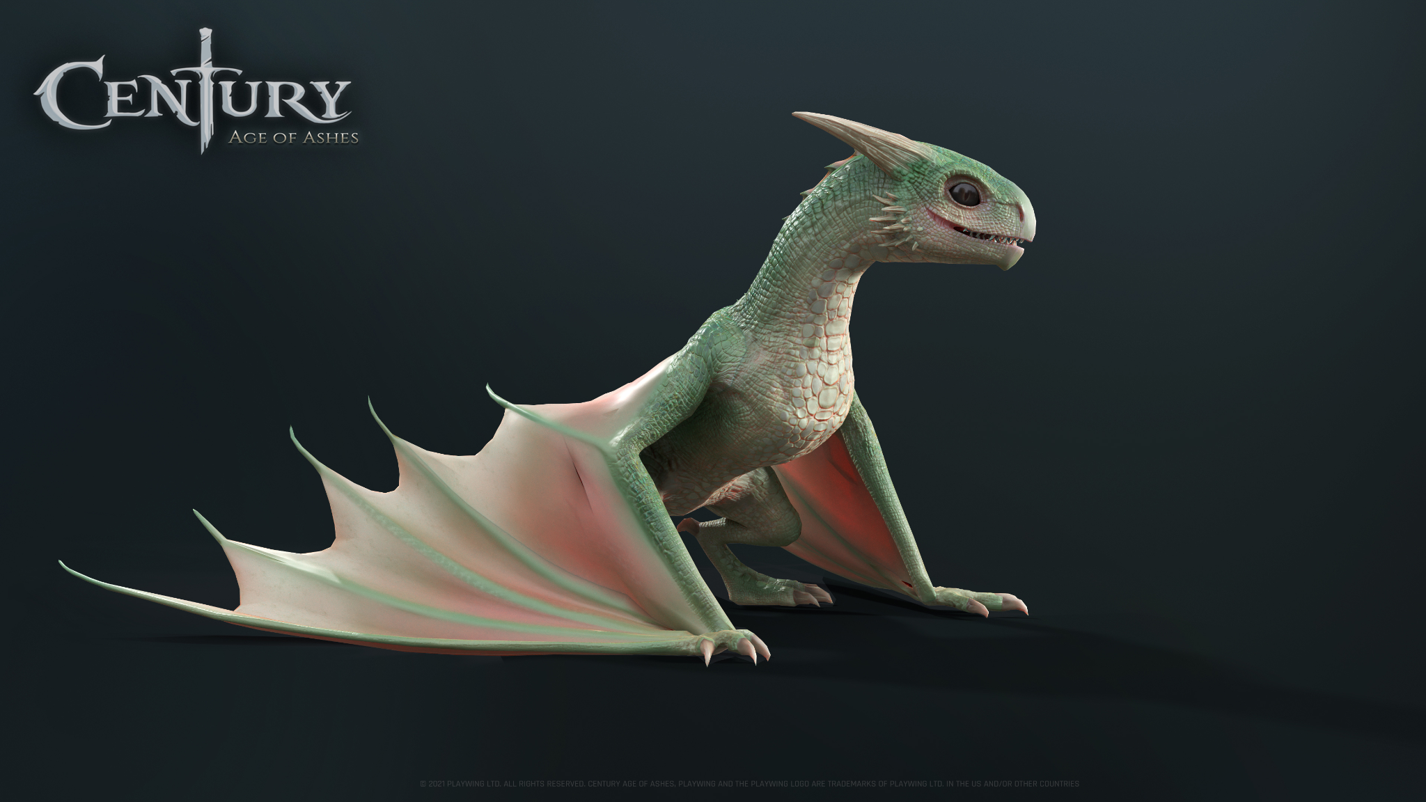 Dragon Baby