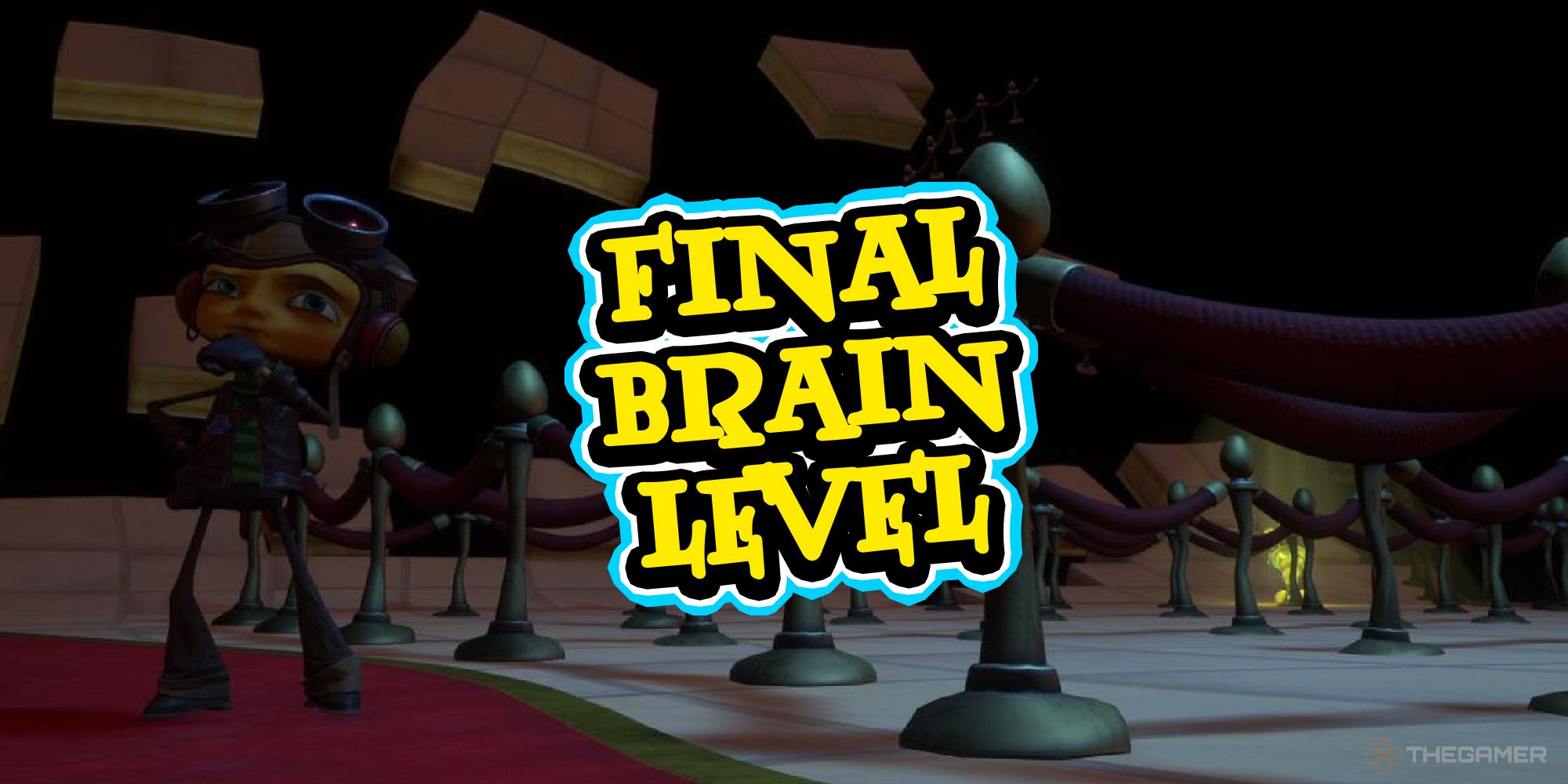 Final brain level