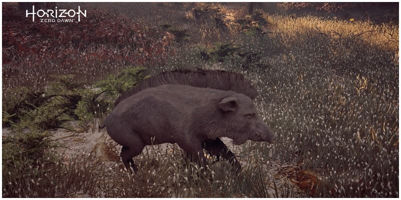 Horizon Zero Dawn Boar