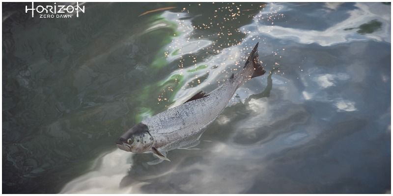 Horizon Zero Dawn Fish