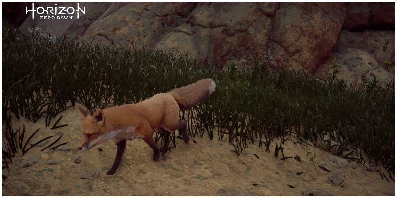 Horizon-Zero-Dawn-Fox