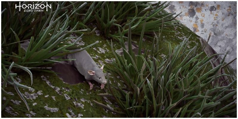 Horizon Zero Dawn Rat
