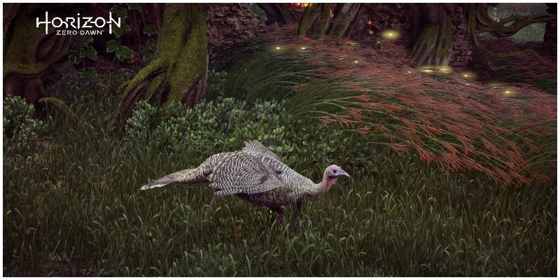 Horizon Zero Dawn Turkey