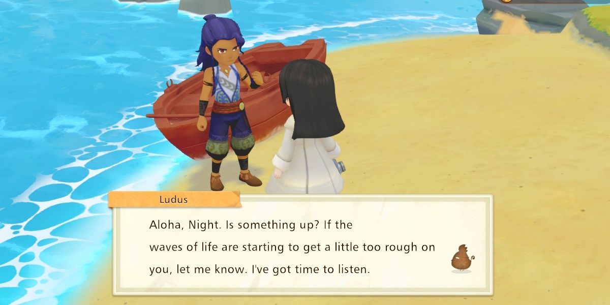 Ludus on the beach above his house
