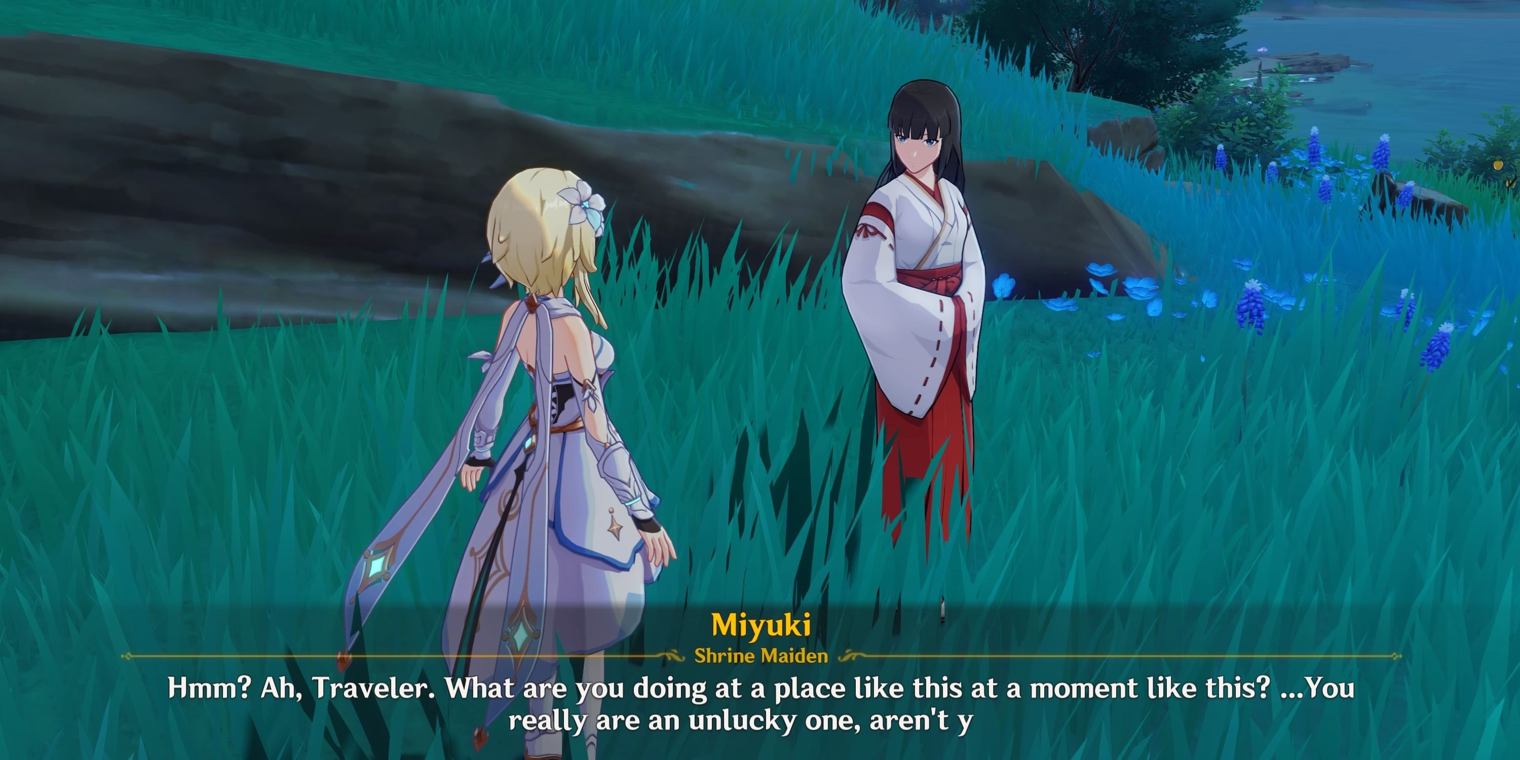 Miyuki Observing the Thunder Sakura