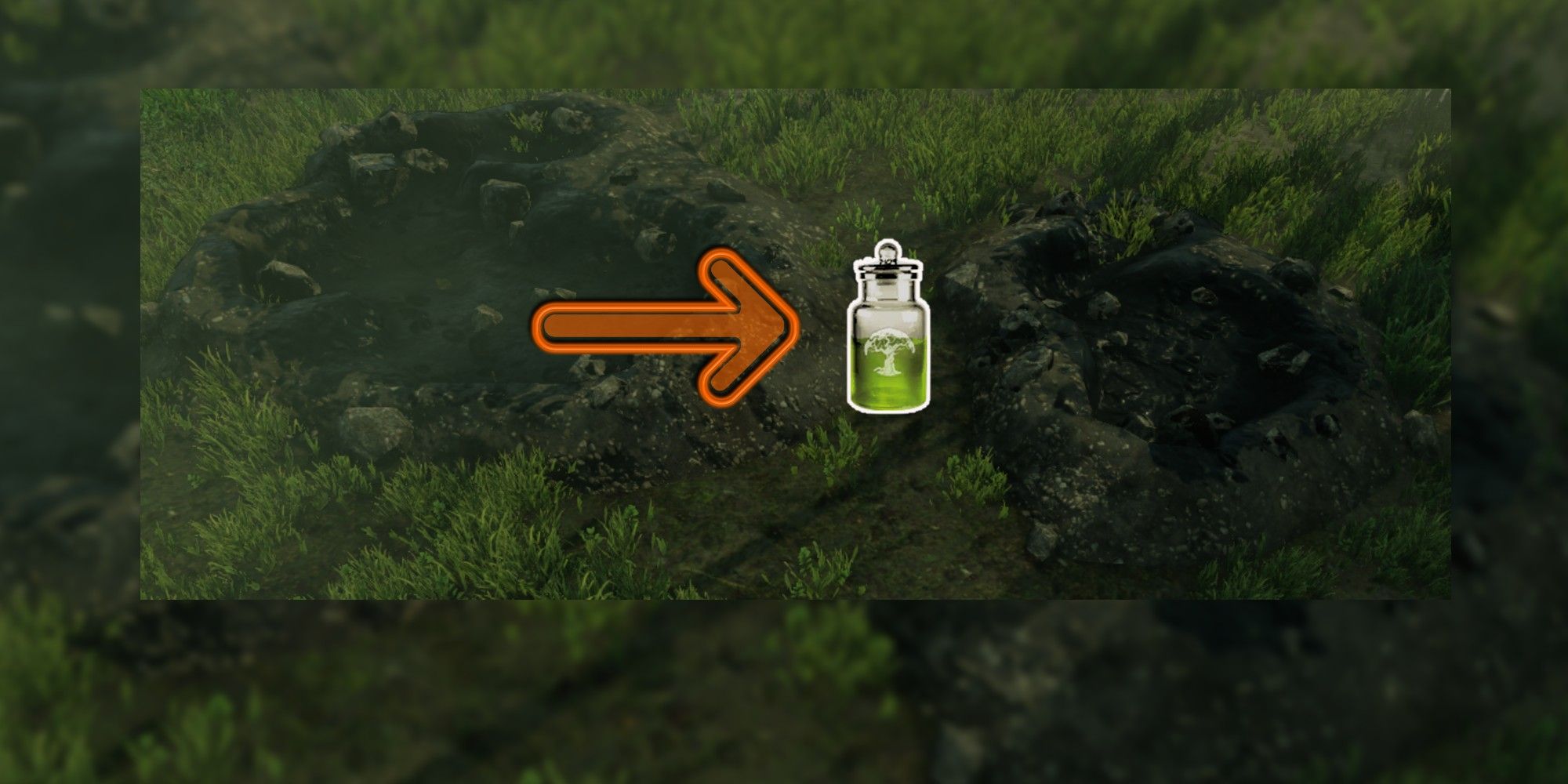 New World Oil (1)