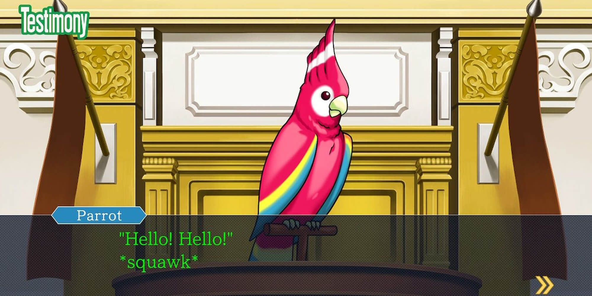 Polly The Parrot Giving Her Testimony