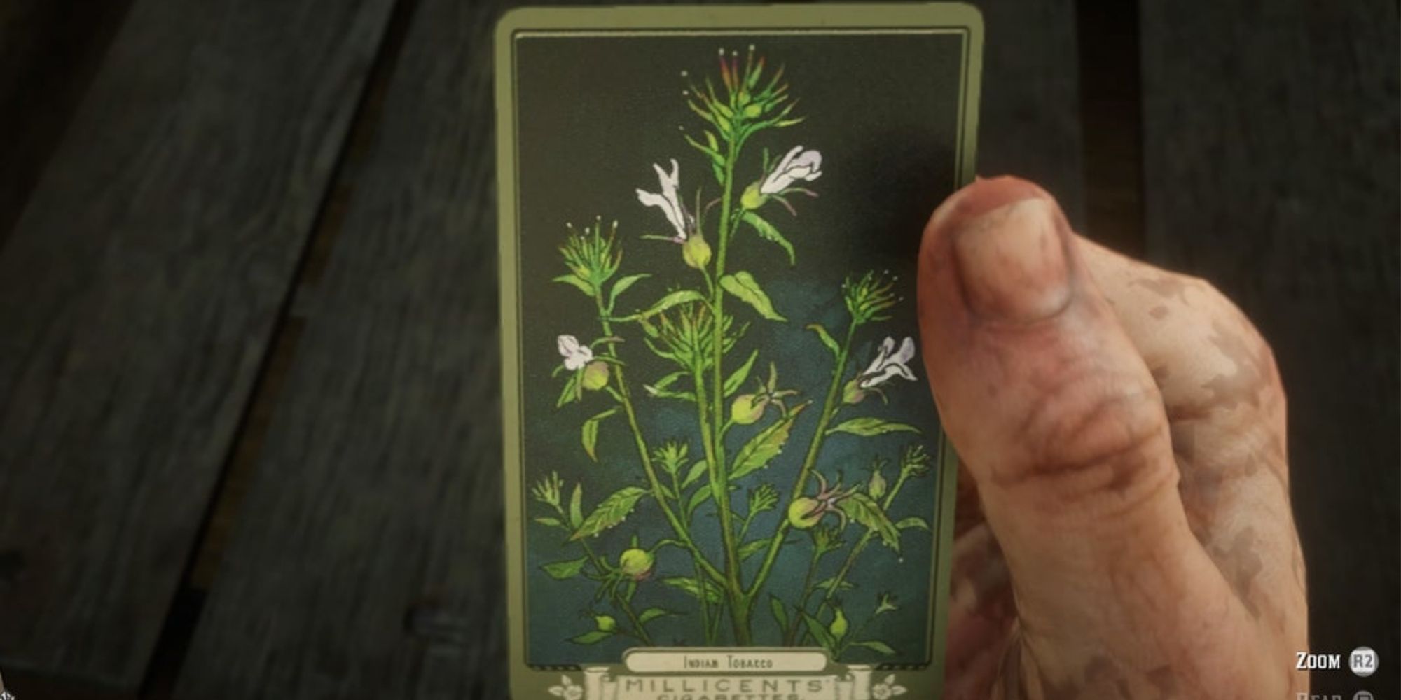 Red Dead Redemption 2 Indian Tobacco herbalist collecting card
