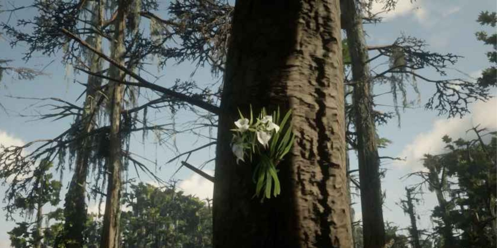 Red Dead Redemption 2 Orchid growing on tree in lemoyne