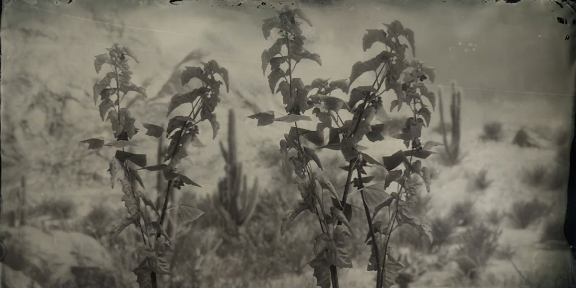 Red Dead Redemption 2 blackcurrant black and white loading image