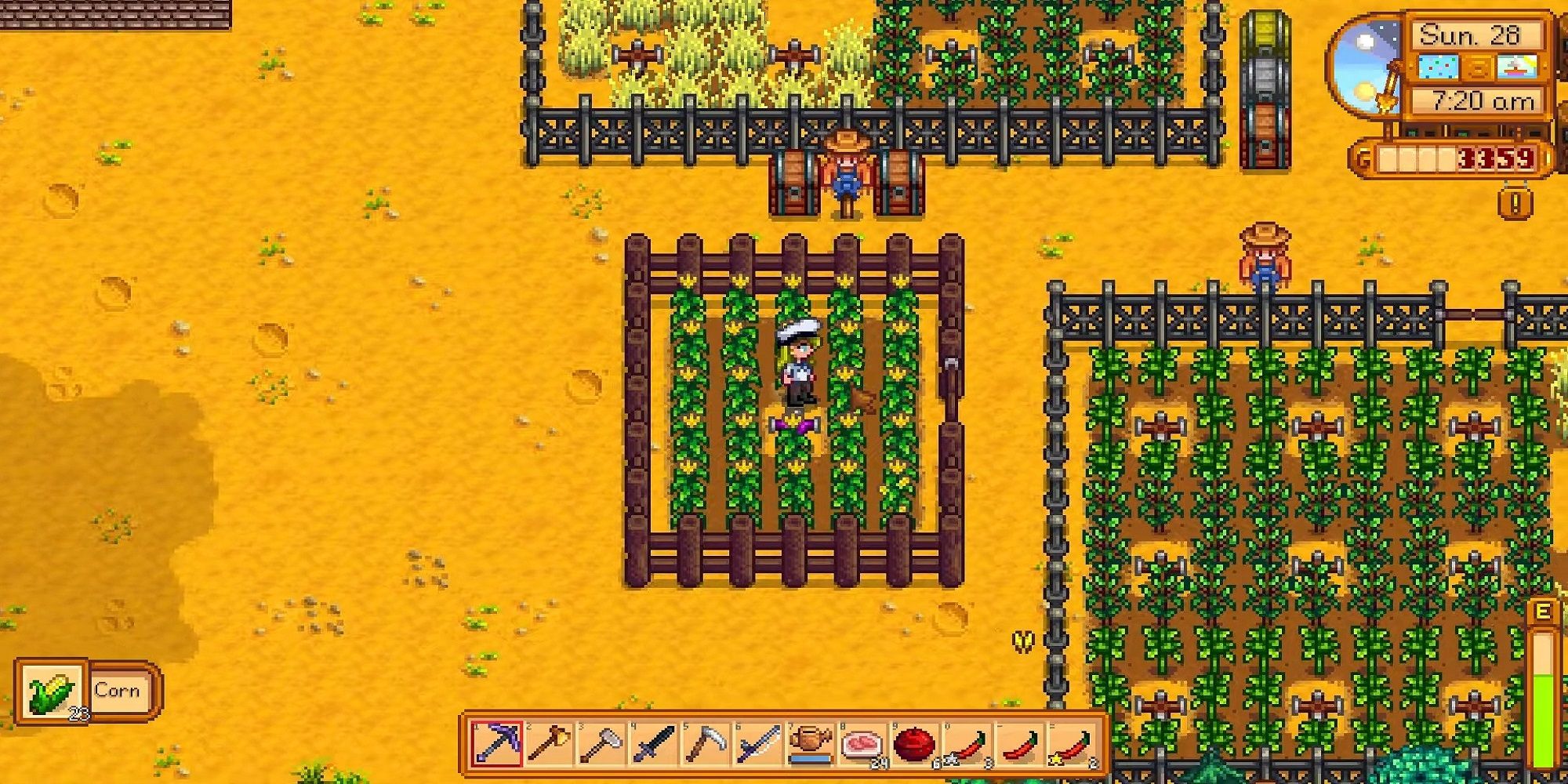 A farmer standing in a field of corn in Stardew Valley