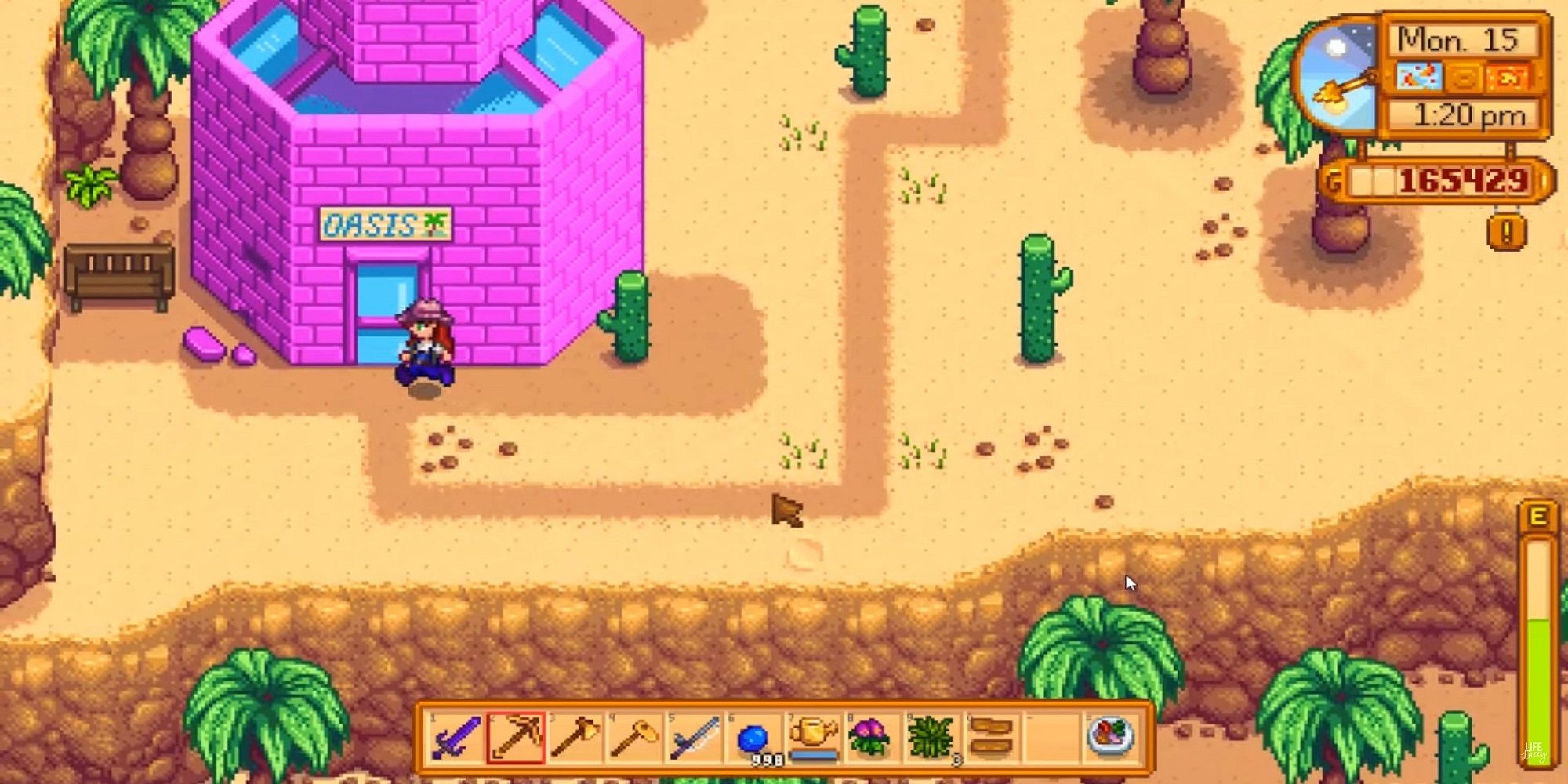 The farmer entering the Oasis in Stardew Valley