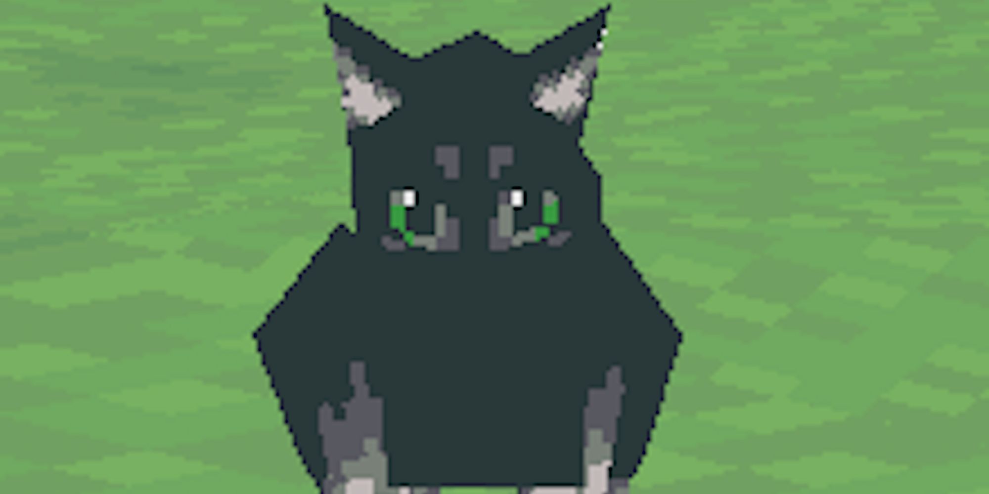 cat in mega man legends
