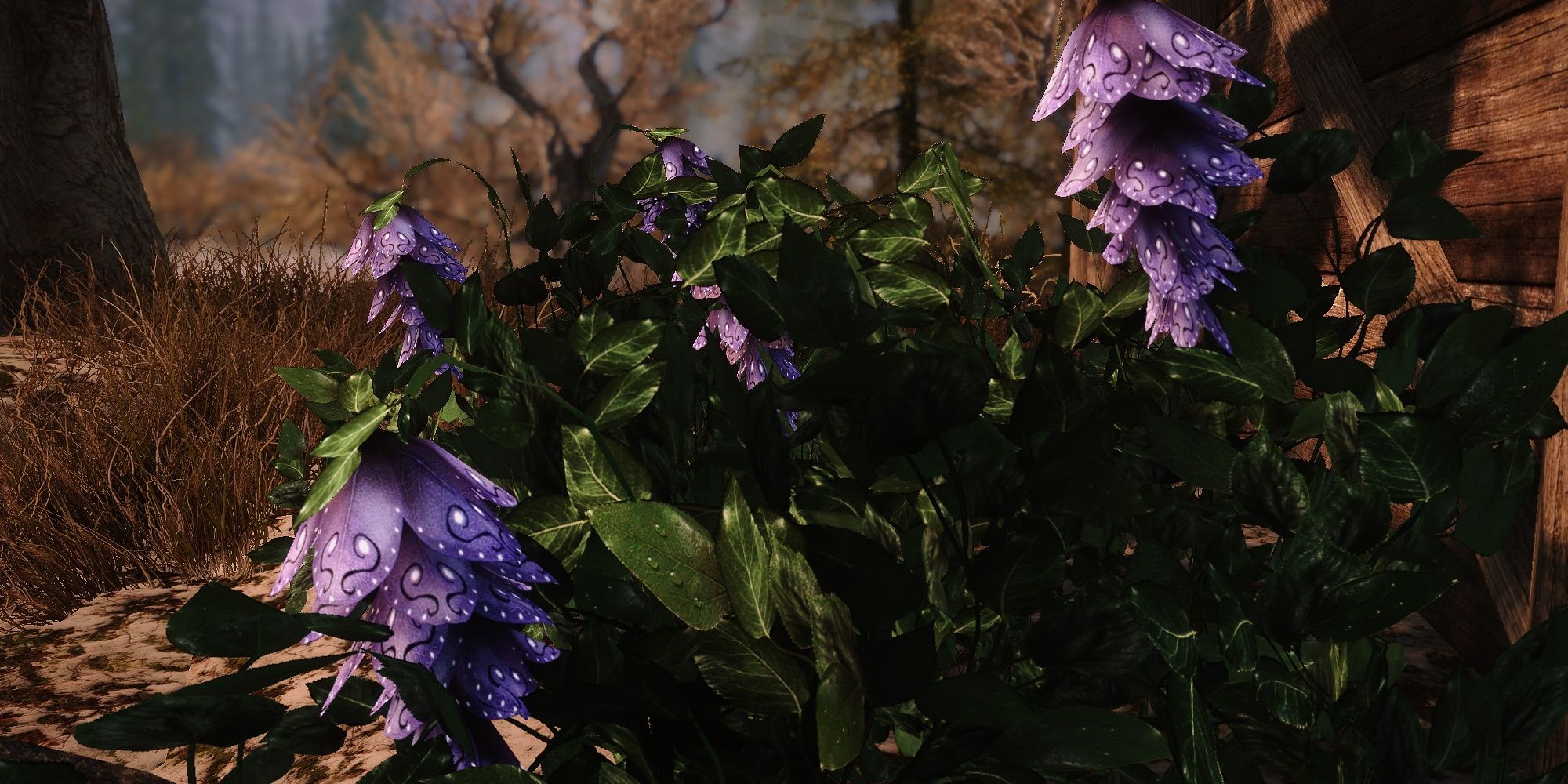 Deathbell flowers from Skyrim