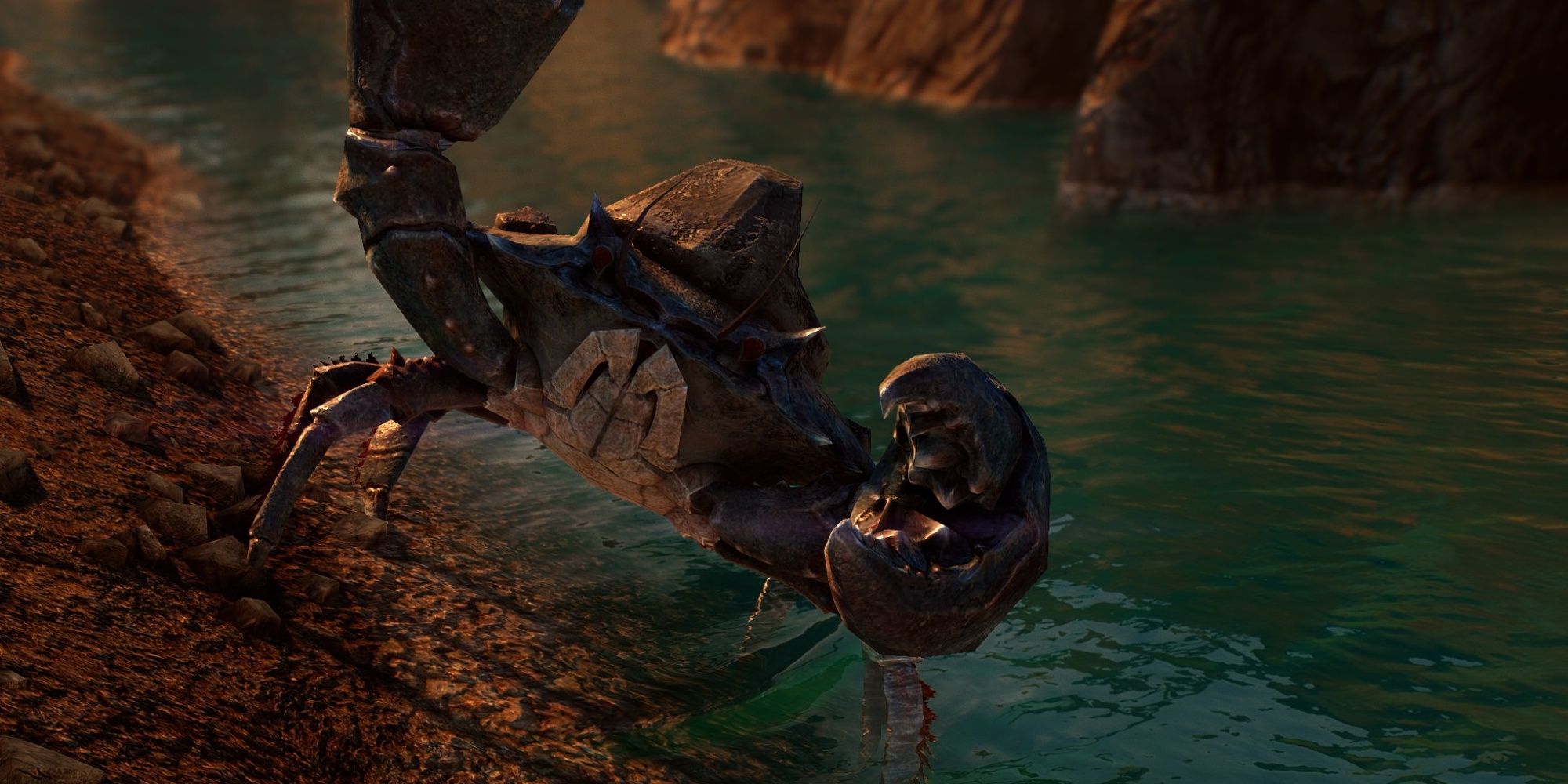 A mudcrab attacking on a beach