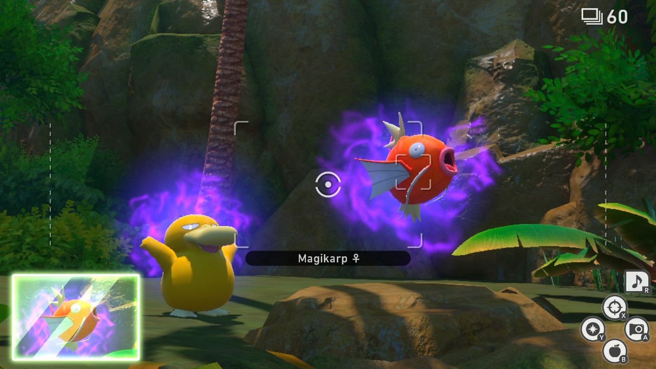 new pokemon snap request sweet scent psyduck (20)