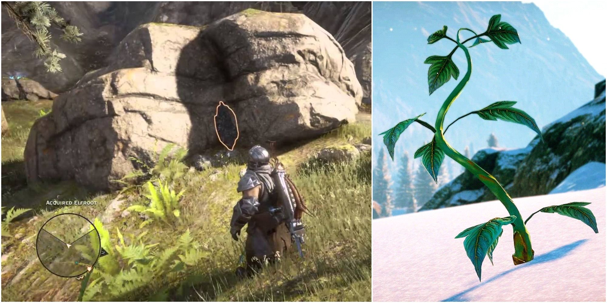 Dragon Age Inquisition Elfroot